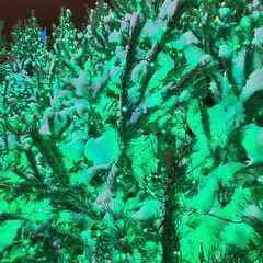 Кирилл_Доценко