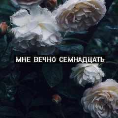 mne_vechno_semnadtsat