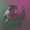 Alexander_Niray profile image
