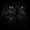 user_photo