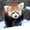 user_photo