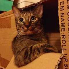 Артём_Ищущий