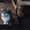 user_photo