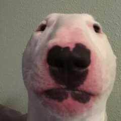 удалено252709