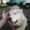 user_photo