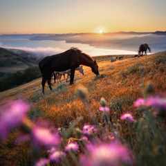 НеллиМирошниченко