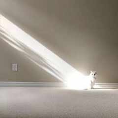 удалено257447