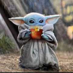 YarKo