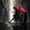 user_photo