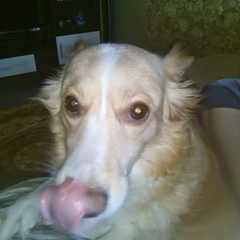 Дмитрий_Гусевb2q