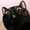 user_photo