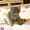 user_photo