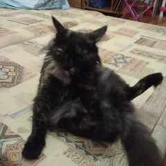 ВячеславПупкин