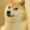 user_photo