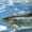 user_photo