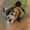 user_photo