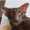 user_photo