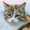 user_photo