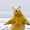 user_photo