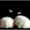 user_photo
