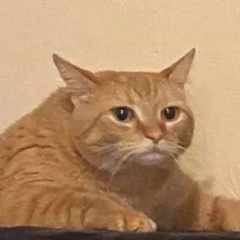 margarita.lukyanchenko