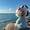 user_photo