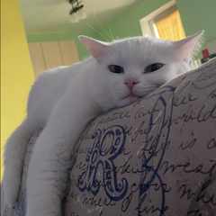 Исмаил_Абдулаев