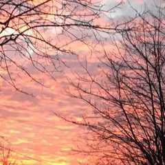 Павел.Свиридов