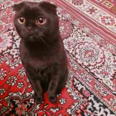 Александррр84