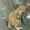 user_photo