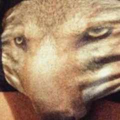 удалено396298