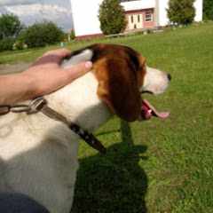 Позитивный_Позитив