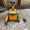 user_photo