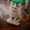 user_photo