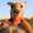 user_photo