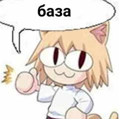 cau84