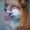 user_photo