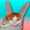 user_photo