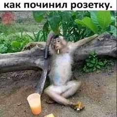 Sleepno
