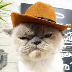 злобный_гном