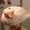 user_photo