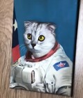 Арлекин_4