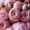 user_photo