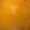 user_photo
