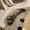 user_photo