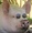 bigpig