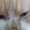 user_photo