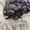 user_photo