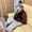 user_photo