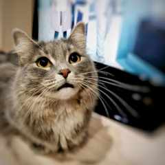 Марианна_Пашнева